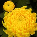 모리폴리 이미지