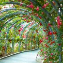 (유)하이얀 이미지