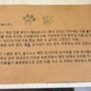 라이크레이크(LIKE LAKE) 네이버블로그