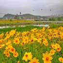 대전천북로 네이버블로그