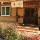 두동편백 이미지