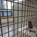 구리유통종합시장수산동 반려동물 문화센타 | 구리시 반려동물문화센터