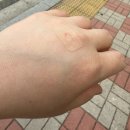 5월 이야기(1)