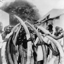 상아무역 이미지