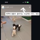 올케어댕 이미지