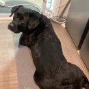 이모네포장마차 이미지