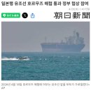일본정부, 이란과 호르무즈해협 통과 협상한듯 이미지