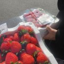 선영이네농장 이미지