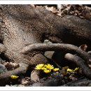 매화2공원 이미지