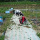 삼조농장 이미지