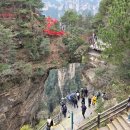 황제다방 | 동양화 펼쳐진 중국 원가계&amp;천자산코스 2일차 여행후기