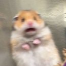 양고살재 주차장 화장실 | [블랙야크 100대 명산] 내장산, 백암산, 축령산, 방장산 등산 후기 + 인생 첫 백패킹(노숙)