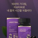 티바 티스토리