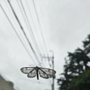 계도어촌체험휴양마을 이미지