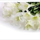 어느멋진날에 2 이미지