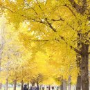 굴업리 마을회관 이미지