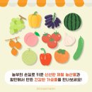 바로푸드함안 네이버블로그