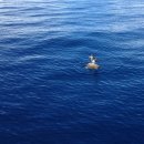 거북면세점 이미지