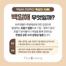 속속봄내과의원 네이버블로그