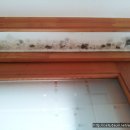 생생아파트 이미지