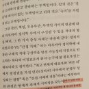 인류의 역사를 되돌아보며