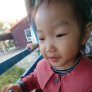 담희목장 이미지