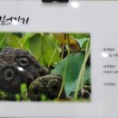 한라마을작은도서관 이미지