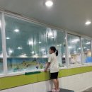 씨엘키즈 어린이수영장 이미지