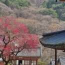 곡성-020 이미지