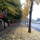 충숙근린공원 이미지