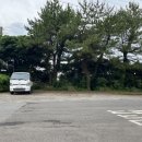 꿈에본꽃돼지 이미지