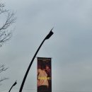 웨이브(Wave) | [콘서트] 대성 앵콜 콘서트 D's WAVE 디스웨이브 중콘 후기(핸드볼경기장 C구역 1열 시야)