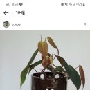 가음정로-1 이미지