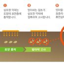 우리농약사 이미지