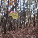 녹전로(녹전면) 티스토리