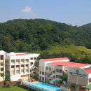 A legacy of excellence, growth, and global community! 이미지