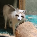 덕진체련공원 테니스장 이미지