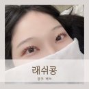 래쉬콩
