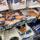 폐지수집가의 도쿄여행