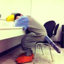 비둘기농장 이미지