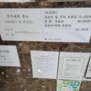 더사랑의원 | 청주 갑상선, 유방 초음파 검사 병원 육거리 목과슴사랑의원 내돈내산 후기