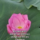 마음의 문 이미지