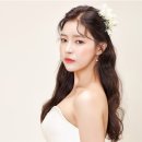 멥시 Daum카페