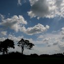 진원동초등학교 이미지