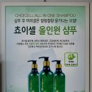 쵸이셀