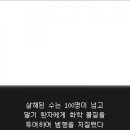 곰레스토랑