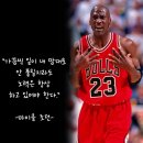 디와이시스템 이미지