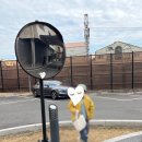 스타벅스 제물포역DT점 이미지