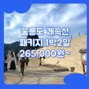 엘도라도모텔 | 울릉도 여행 1박2일 패키지 / 포항_울릉도_1박2일 #쾌속선 #엘도라도