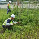 낙동간이쉼터 이미지